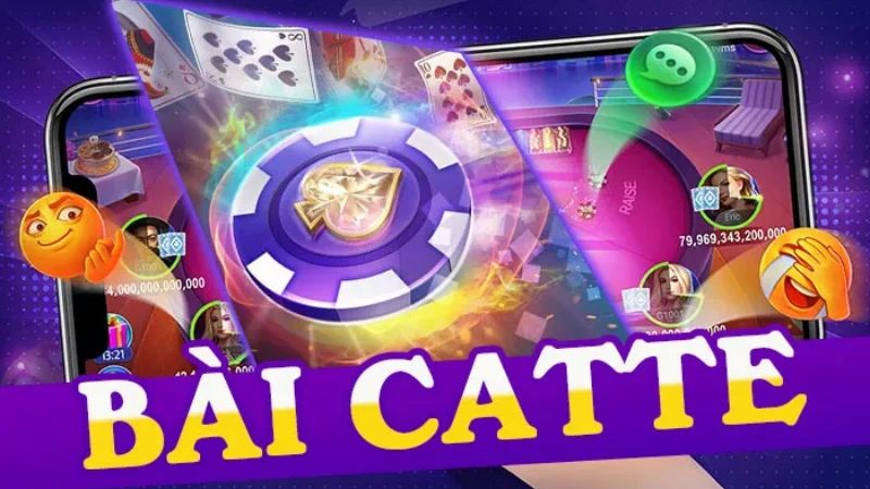 Tìm hiểu về bài Catte online